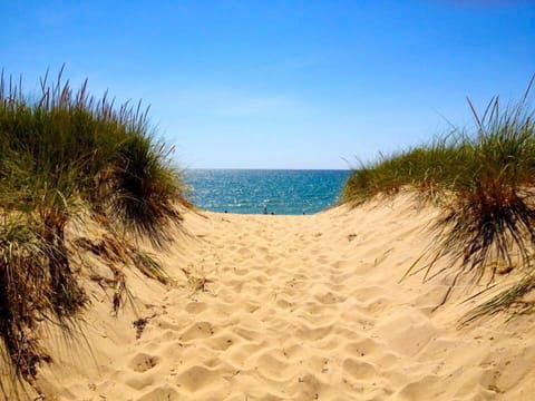 Beach nearby, sun loungers, beach towels