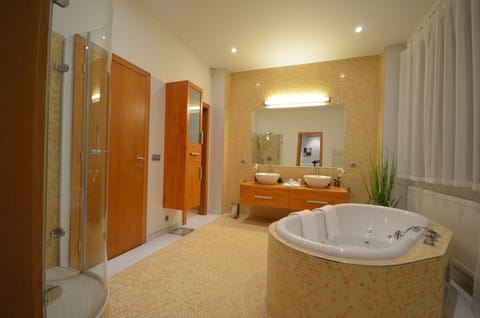 Combined shower/tub, hair dryer, towels