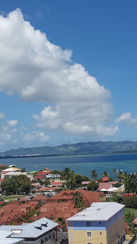 Beach/ocean view