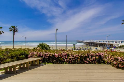 On the beach, sun loungers, beach towels