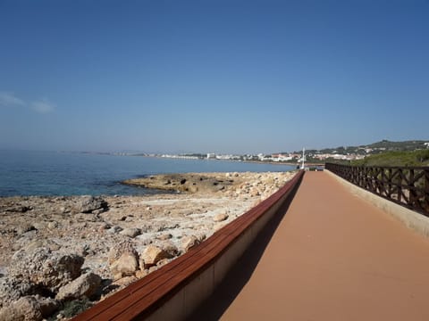 Beach/ocean view