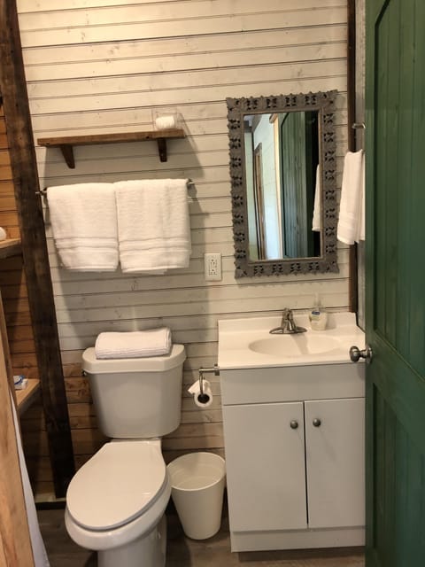 Bathtub, hair dryer, towels, soap