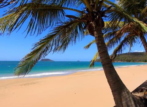 Beach nearby, beach towels