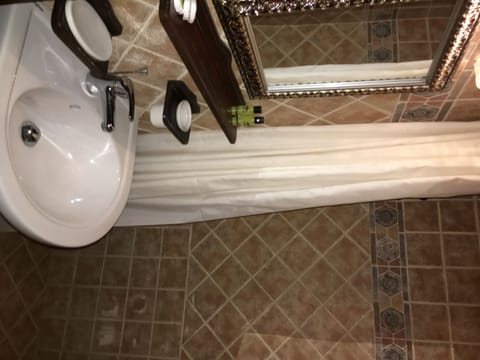 Combined shower/tub, hair dryer, towels