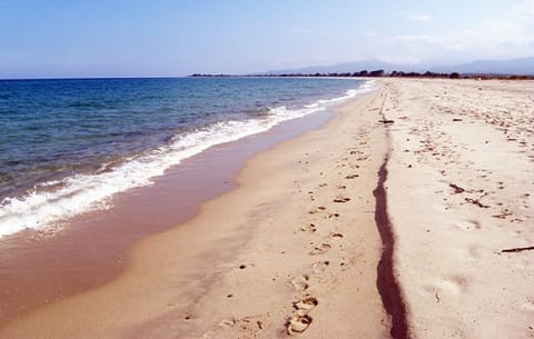 On the beach