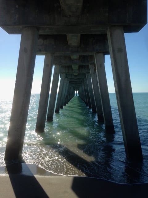The pier at Sharky's, Venice Beach