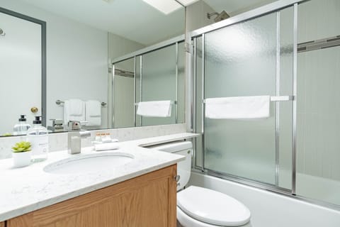 Combined shower/tub, hair dryer, towels