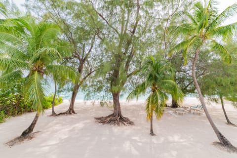 On the beach, sun loungers, beach towels