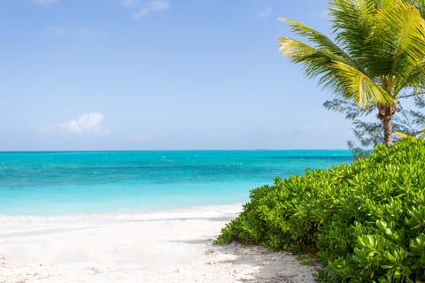 On the beach, sun loungers, beach towels