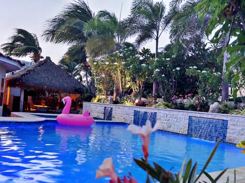 Outdoor pool, sun loungers