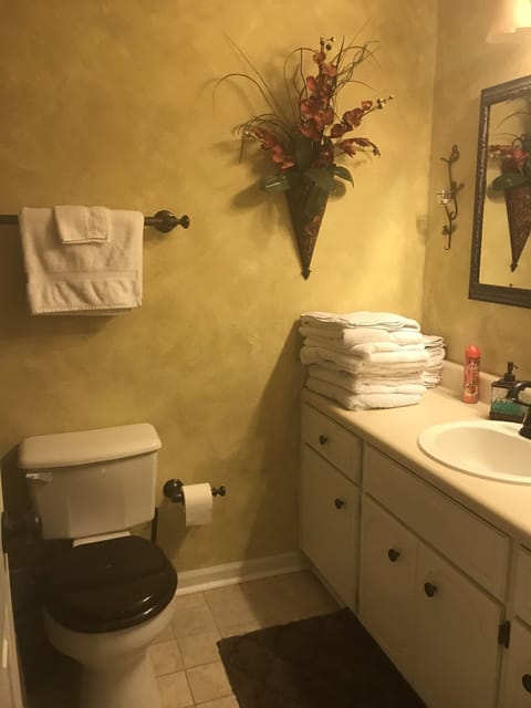 Hair dryer, towels, shampoo, toilet paper