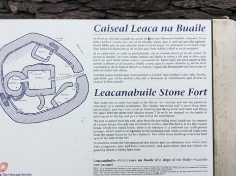 Info on Leacanabualie fort which is within walking distance from the house.