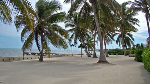 On the beach, sun loungers, beach towels