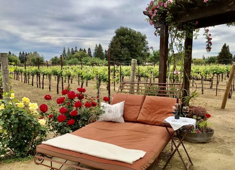 Relax on your double chaise next to the vines and in your private rose garden 