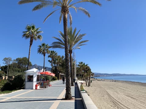 On the beach