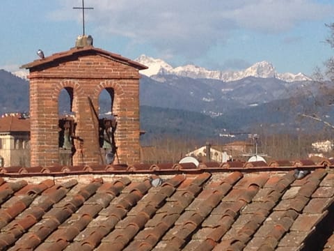 View from Master Bedroom Window