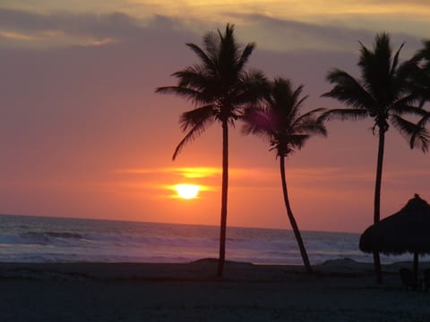 On the beach, sun loungers, beach towels