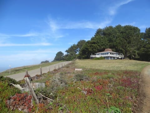 House is nestled in Cypress and Pines trees on 1 acre. Windows throughout.