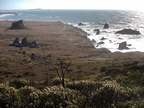 Kortum Trail (hike) starts from Blind Beach, just a short walk south from house.