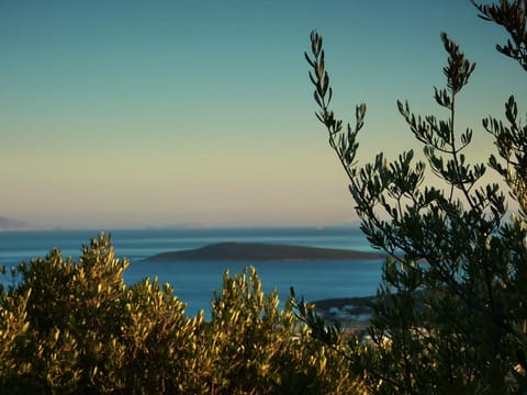 Garden view towards blue lagoon