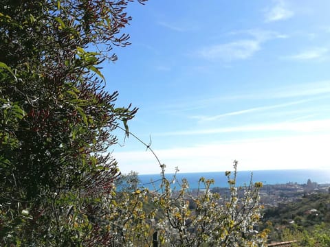 Passeggiate sui monti vicino casa.
A walk in the mountains near home.