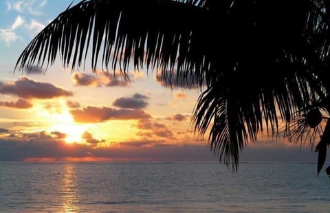 On the beach, sun loungers, beach towels