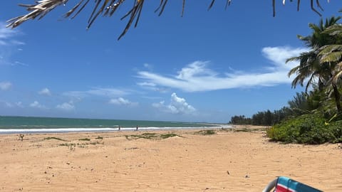 On the beach, sun loungers, beach towels