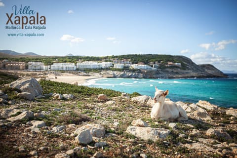 Beach nearby, sun loungers, beach towels