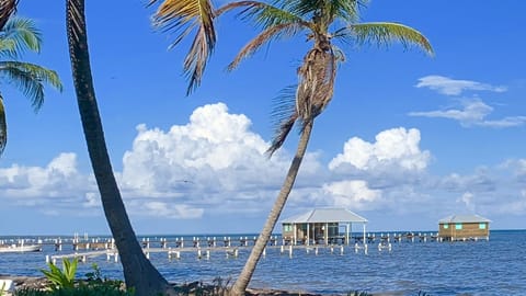 On the beach, sun loungers, beach towels