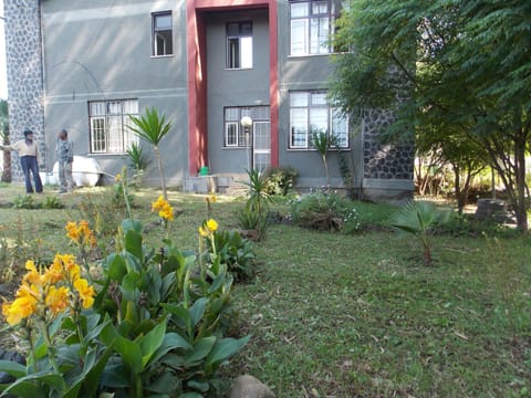 back view with the garden