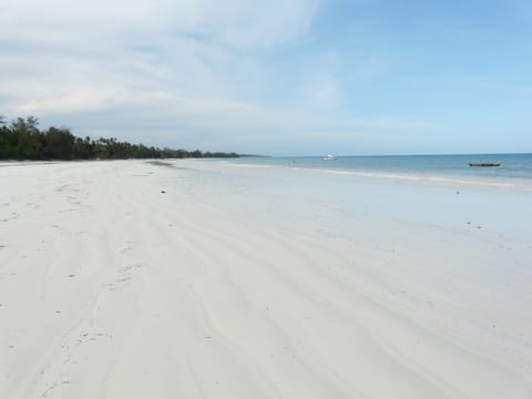 Beach nearby, sun loungers