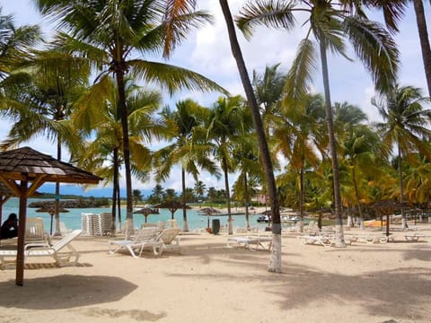 Beach nearby, sun loungers, beach towels