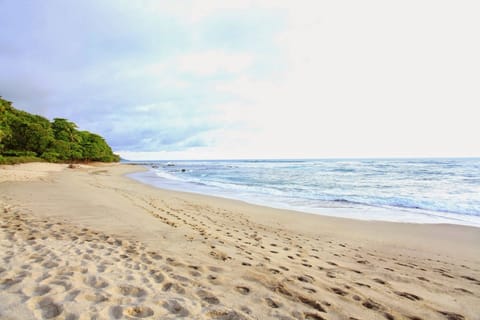 On the beach