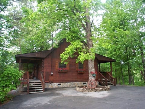 Front and Side View of Cabin