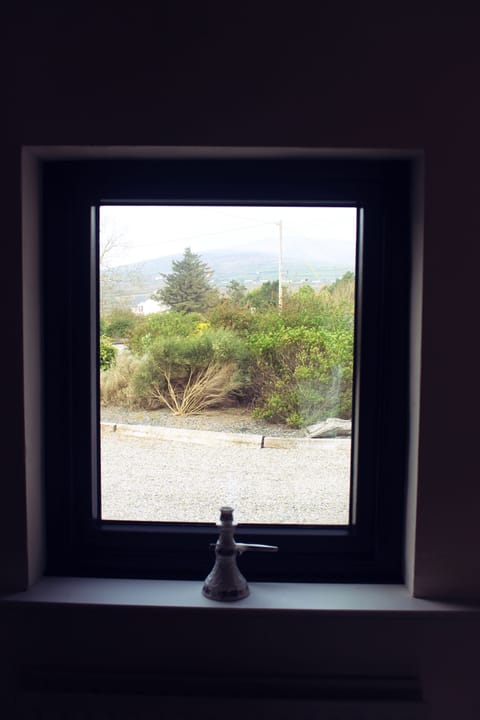 Window view of front