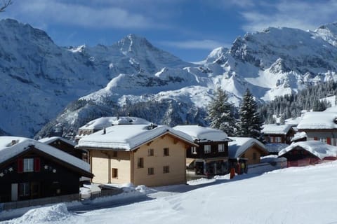 the view from behind the chalet...