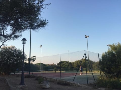 Sport court