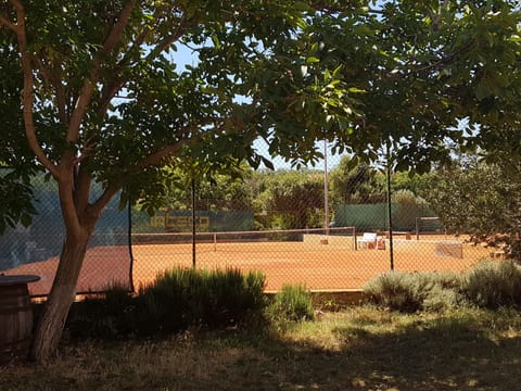 Sport court