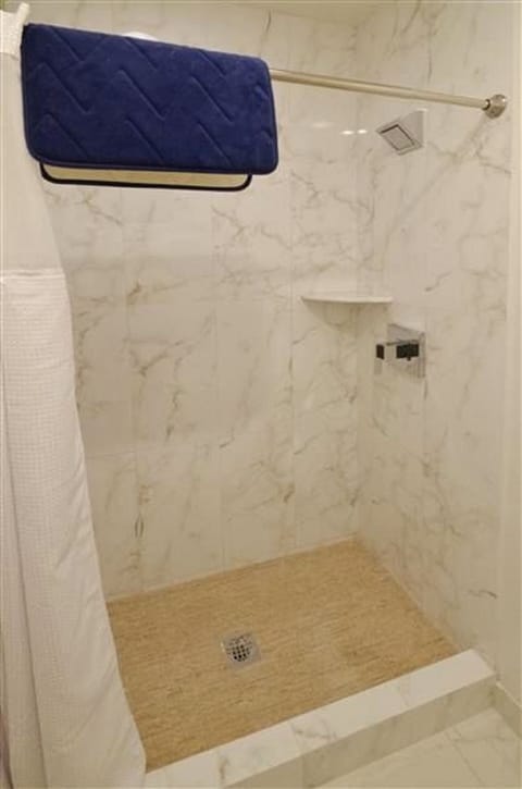 Combined shower/tub, jetted tub, hair dryer, towels