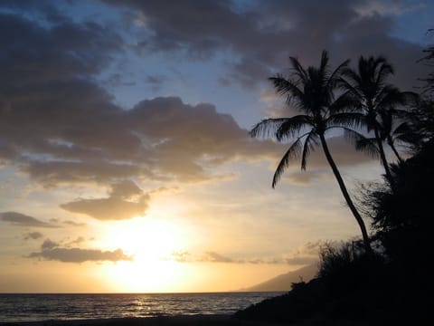 Beach | Beach nearby