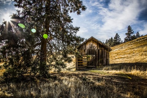 Wild Horse Island/Flathead Lake state park 50 miles from the house