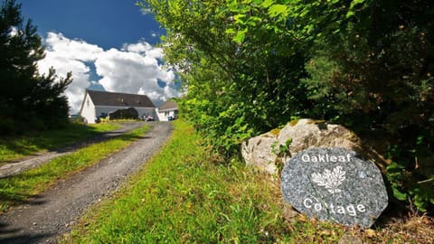 Welcome/Fáilte to Oakleaf Cottage. Leafy laneway to the house.