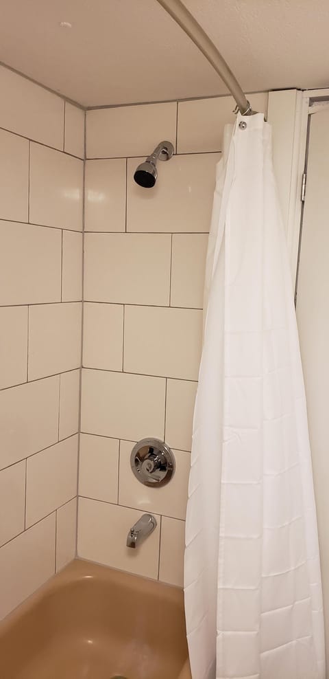 Combined shower/tub, hair dryer, towels, soap