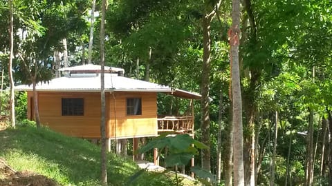 Among the trees and the spacious Hillside Cabin.