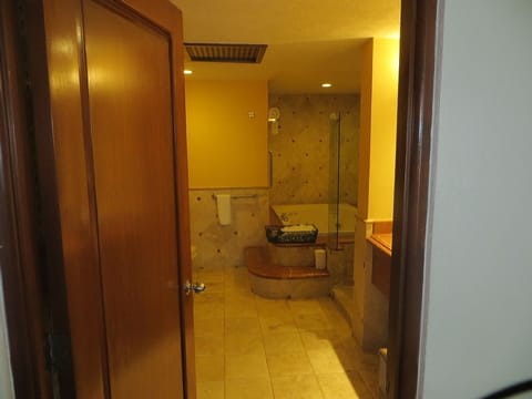 Combined shower/tub, jetted tub, hair dryer, towels