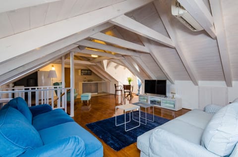 Living TV room roof space