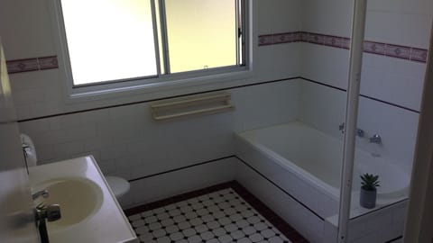 Combined shower/tub, hair dryer