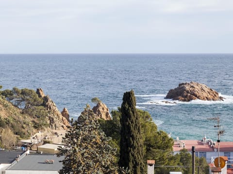 Beach/ocean view