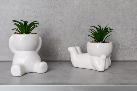 Two decorative potted plants sitting on a white shelf, adding a minimalist and natural accent to the space.
