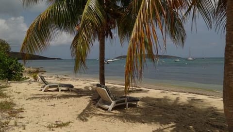 On the beach, sun loungers, beach towels